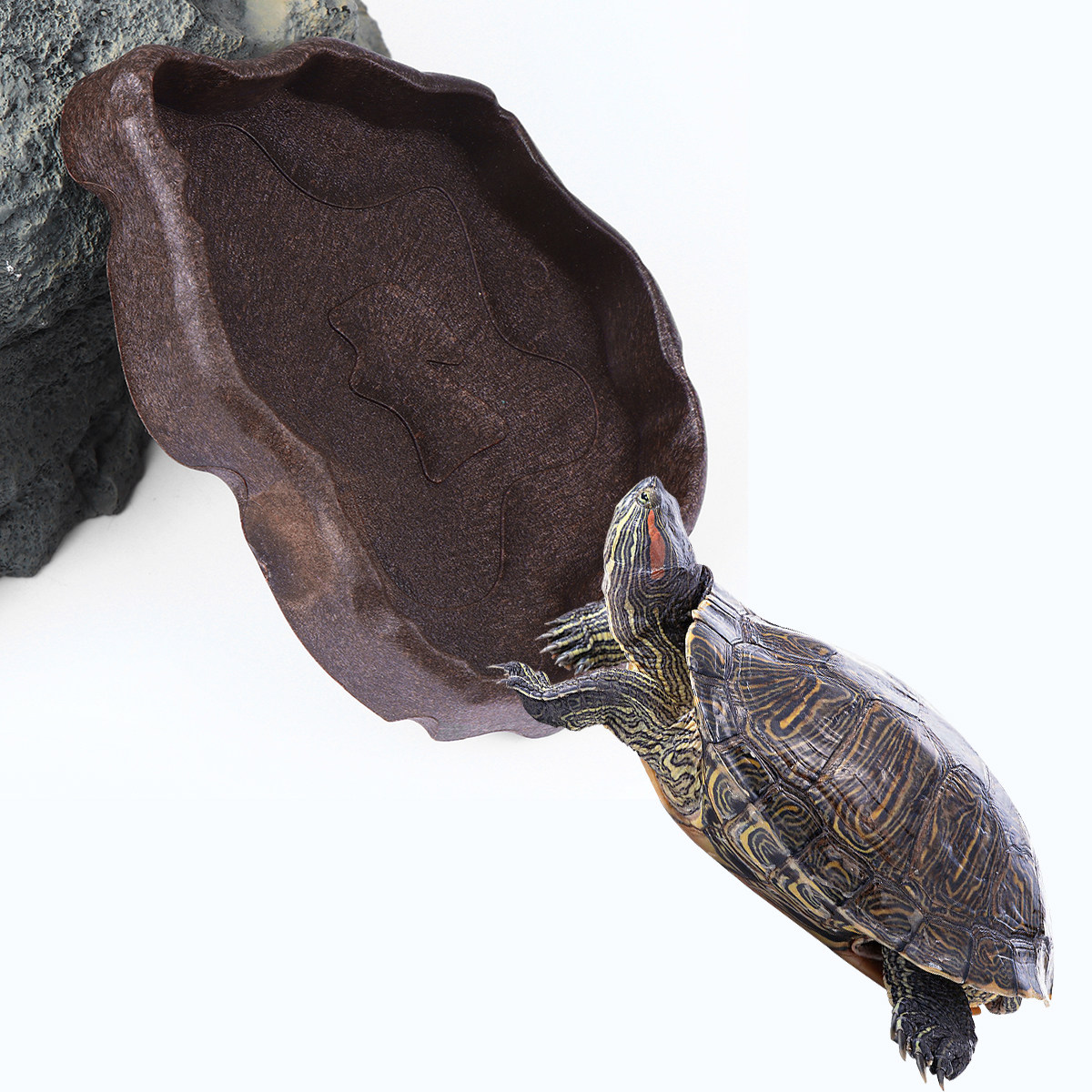 Mangkuk Makanan Reptil dari Re - Water Dish Reptile ulasan dan harga