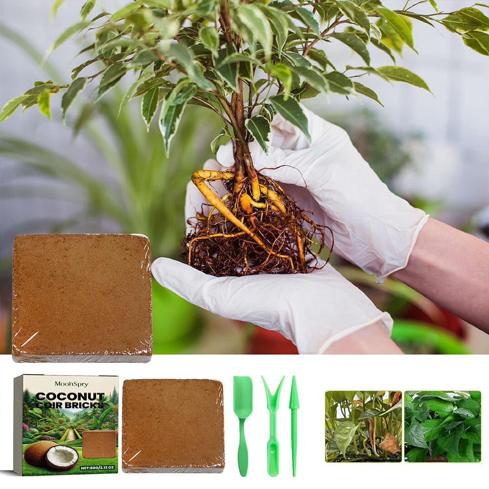 Reptile tanah kelapa Coir mene - Substrate Coconut Fiber ulasan dan harga