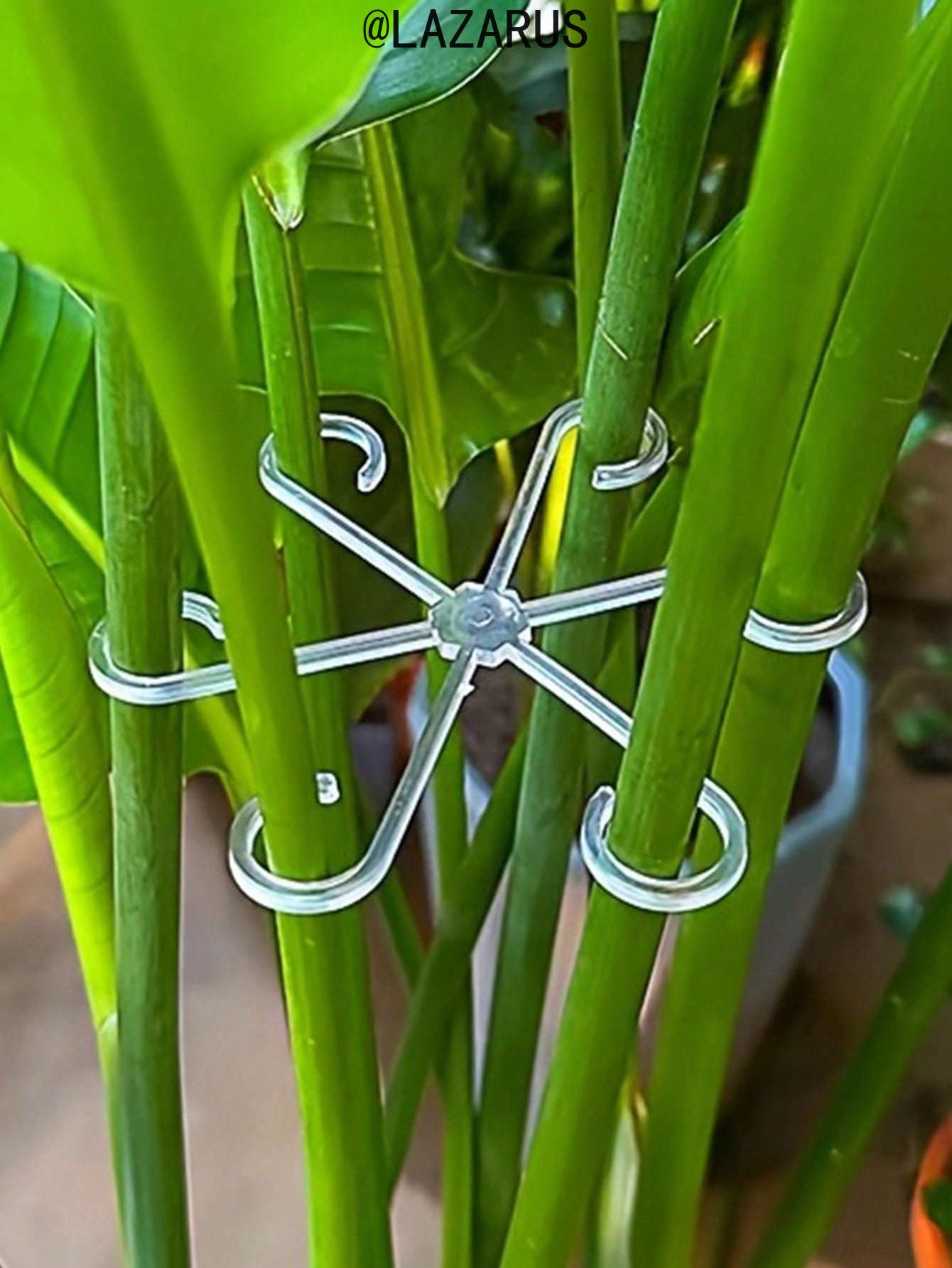 4 Paket Klip Penyangga Tanaman - Vine Climbing Plastic ulasan dan harga