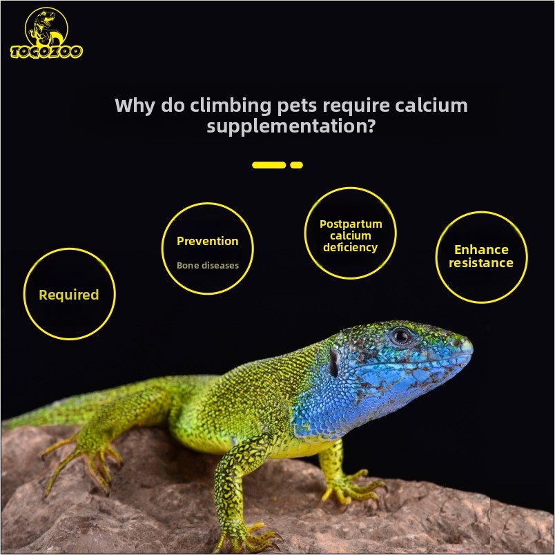 TOGOZOO WILDCAL Bubuk Kalsium  - Calcium Powder Reptile ulasan dan harga