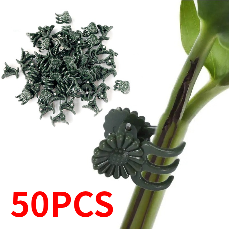 50 Buah Penjepit Tanaman Hijau - Vine Climbing Plastic ulasan dan harga