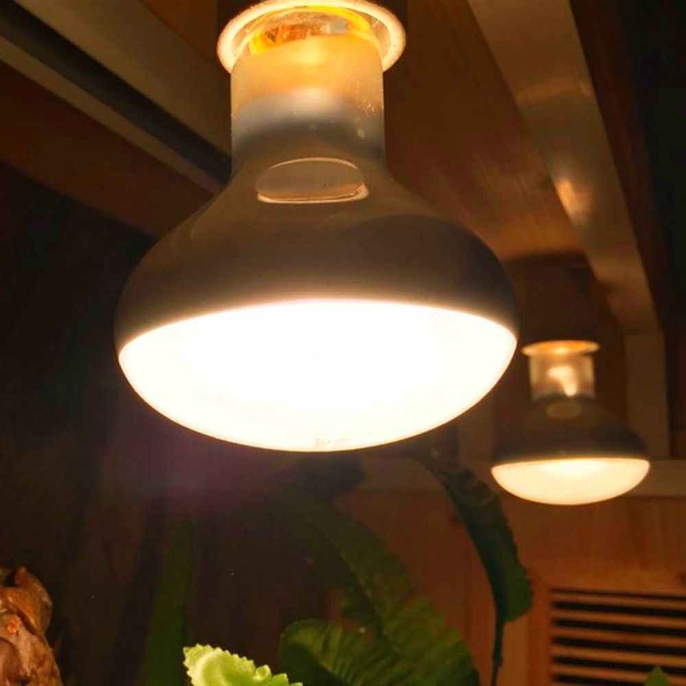 Lampu Pengontrol Suhu Kura-kur - Basking Bulb Halogen ulasan dan harga
