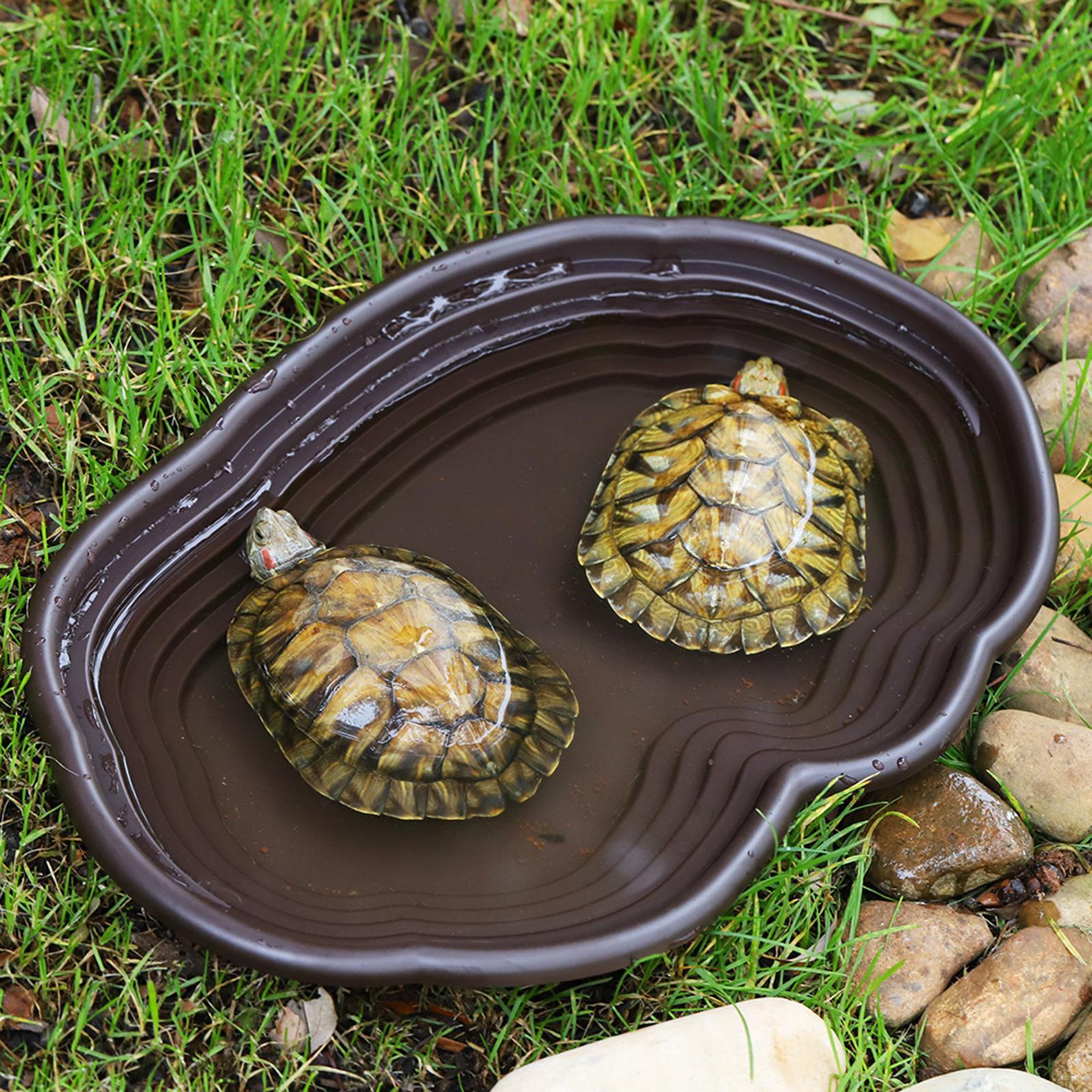 Piring mandi reptil pengumpan  - Water Dish Reptile ulasan dan harga