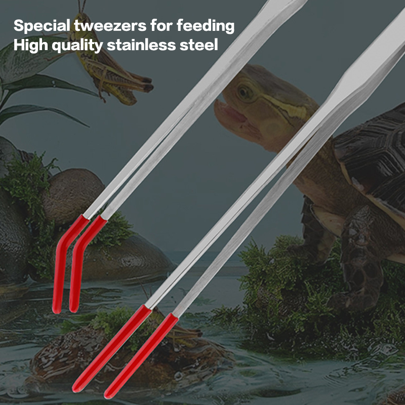 Penjepit Makanan Reptil Baja T - Feeding Tong Stainless ulasan dan harga