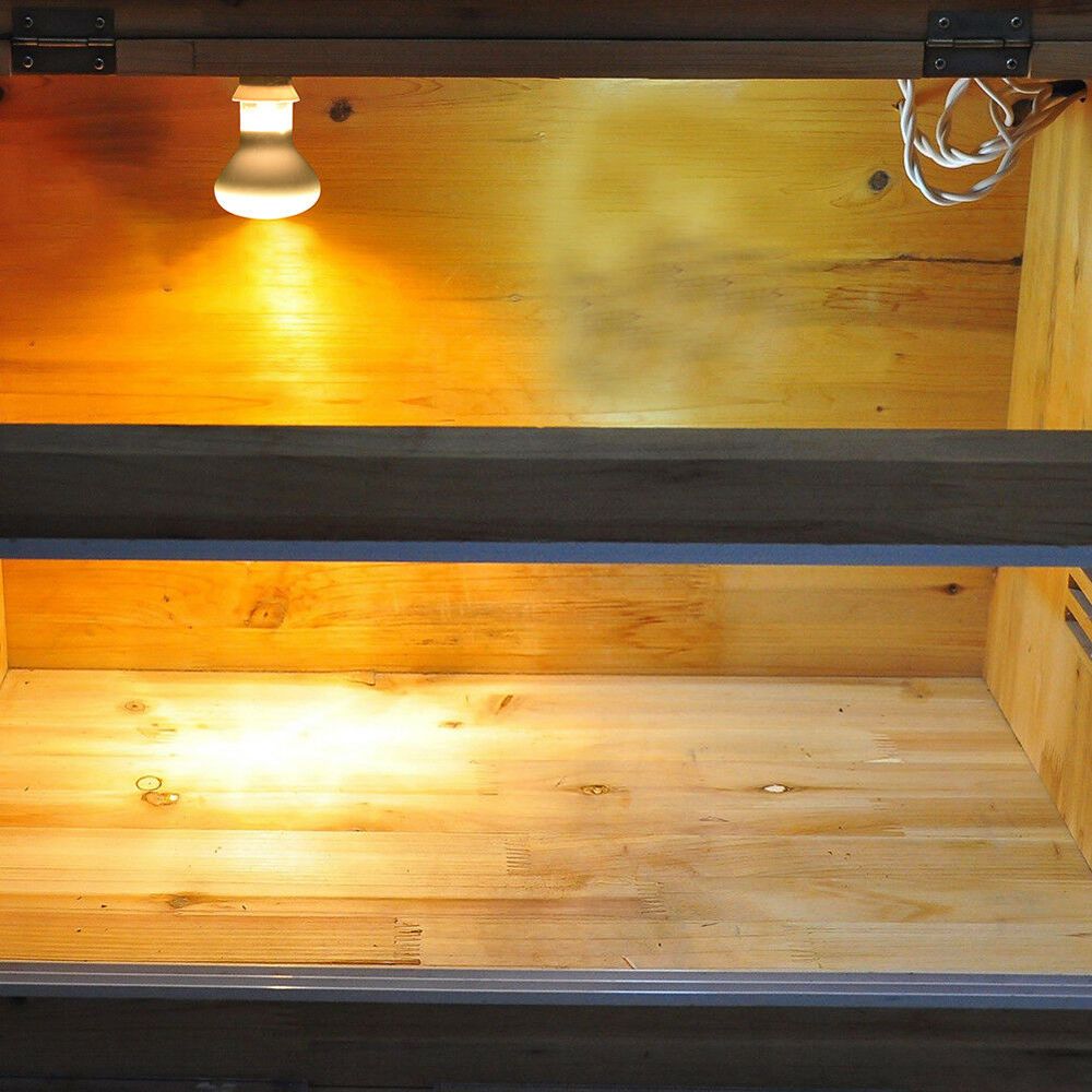 Lampu Pemanas Amfibi, Lampu Ha - Basking Bulb Halogen ulasan dan harga